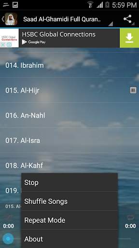 Saad Al-Ghamidi Full Quran mp3 screenshot 6