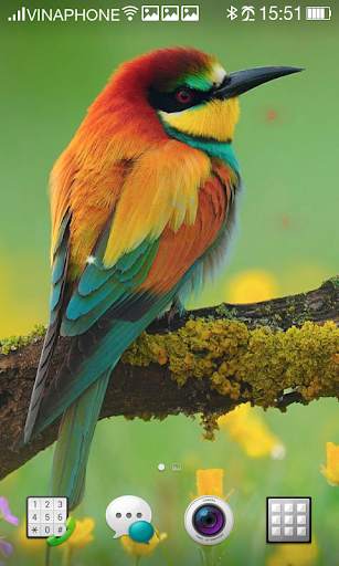 Bird Live Wallpaper HD 4K screenshot 17
