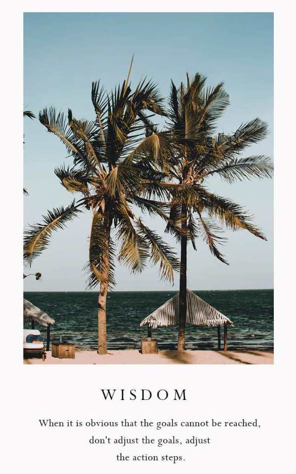 Insta Story Collage Maker for  screenshot 4