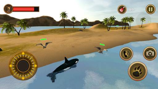 Orca Survival Simulator screenshot 5