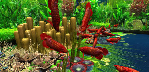 3D Red Arowana Live Wallpaper Pro screenshot 3