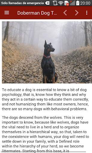 Doberman Dog Training screenshot 7