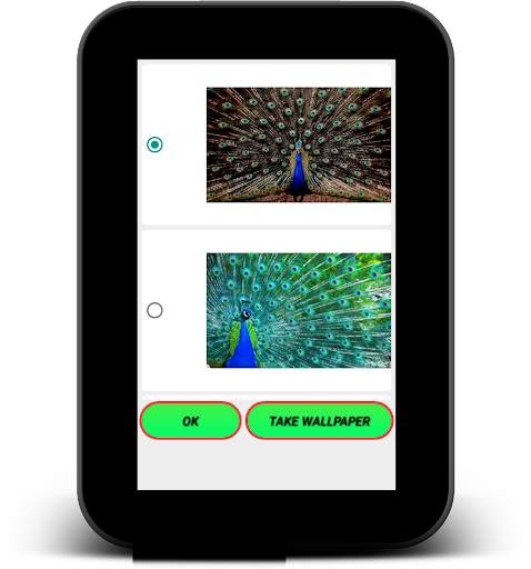 3D Peacock Live Wallpapers screenshot 9