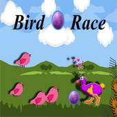 Bird Egg Race 1.0