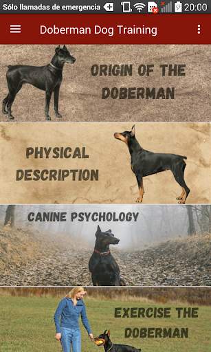 Doberman Dog Training screenshot 1