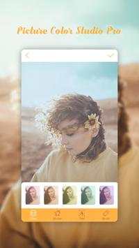 Picture Color Studio Pro screenshot 1