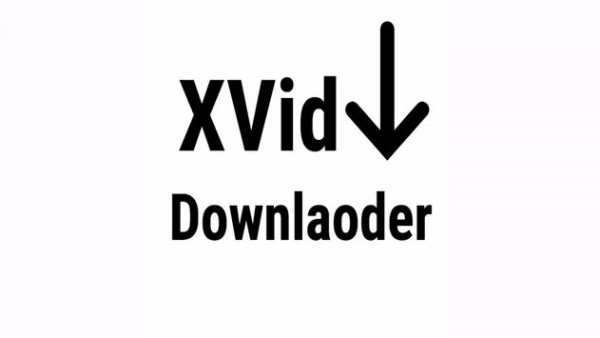 Xvide downloader screenshot 1