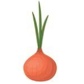 Onion Browser icon