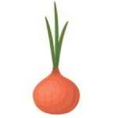 Onion Browser 1.0.1
