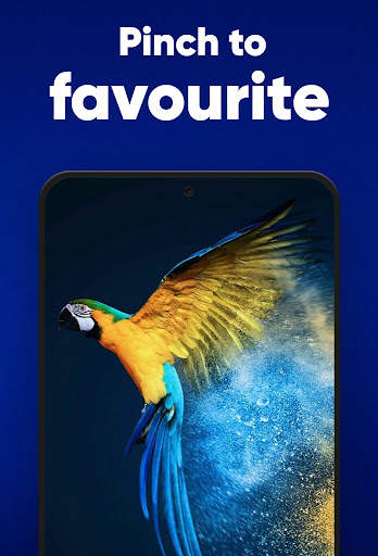 Bird Wallpaper screenshot 5