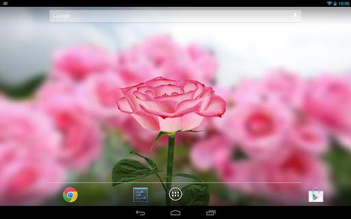 3D Rose Live Wallpaper screenshot 6