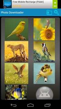 Image downloader screenshot 1