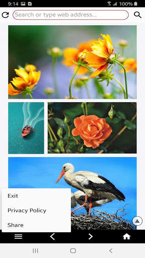 Firefrog 4G Browser - No History Browser 2 تصوير الشاشة