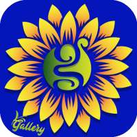 1   Gallery иконка