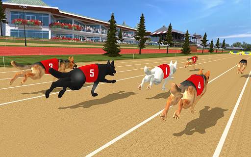 Dog real Racing  Derby Tournament: Dog Race Game screenshot 3
