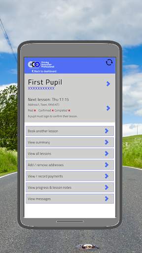 Driving Instructor Professional screenshot 3
