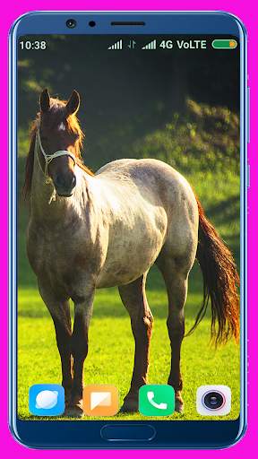 Horse Wallpaper screenshot 1