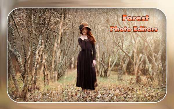 Forest Photo Editor screenshot 3