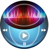 MAX HD Player 1.1