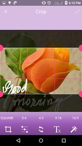 X-Ray Photo Editor screenshot 4
