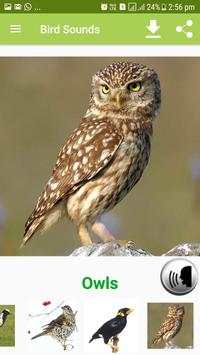 Bird Sound & Pictures screenshot 11
