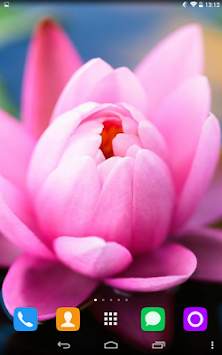 Water Lily Live Wallpaper screenshot 2