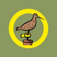 BirdRing on 9Apps