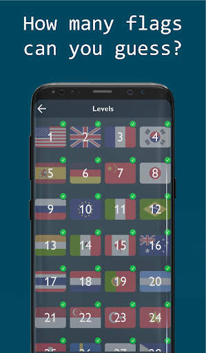Guess 262 flags screenshot 3