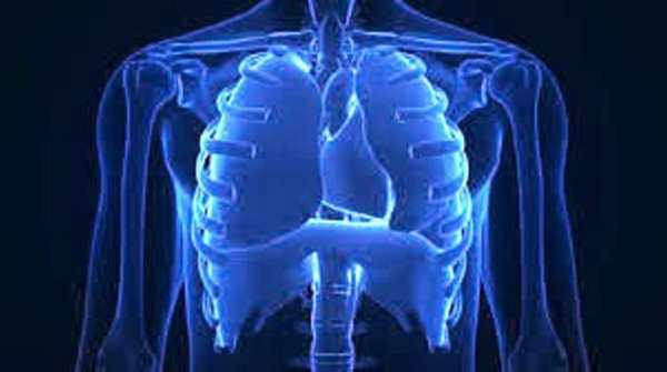 X-Ray Cloth Scanner Prank screenshot 4