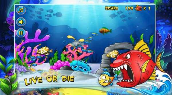 Hungry Shark screenshot 5