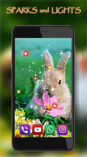 Bunnies Live Wallpaper screenshot 4
