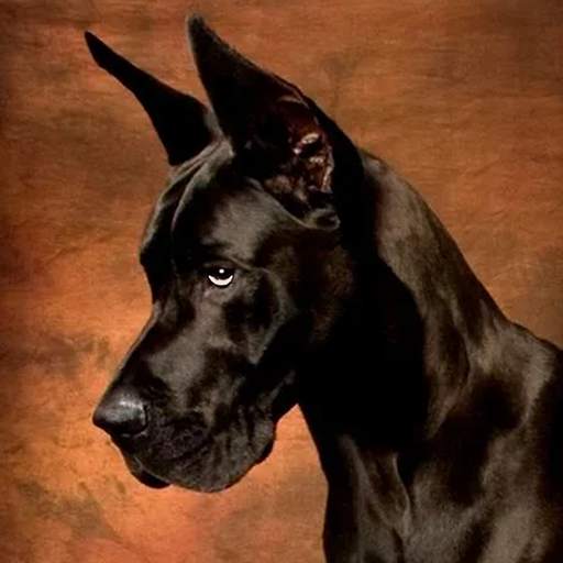 Great Dane Dog Simulator 1.2.0