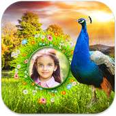 Peacock Photo Frames