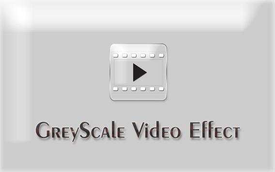 Gray Scale Video screenshot 1