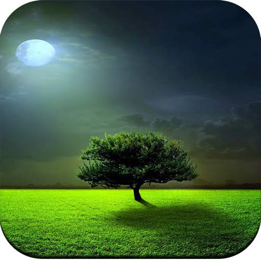Nature wallpaper hd app offline 1.04