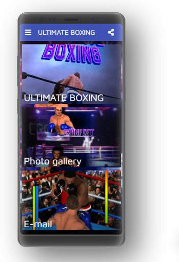 ULTIMATE BOXING screenshot 3