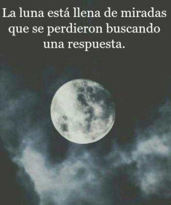 Fotos Tristes screenshot 11