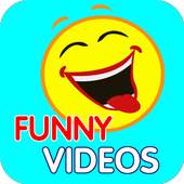 Top funny Videos 5.0