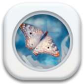 موضوع  الأبيض النقي on 9Apps