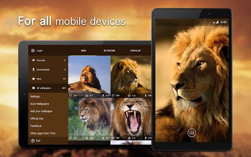 Lion Wallpapers 4K screenshot 5