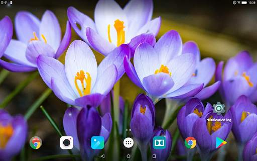 Beautiful Spring Flowers Live Wallpaper screenshot 11