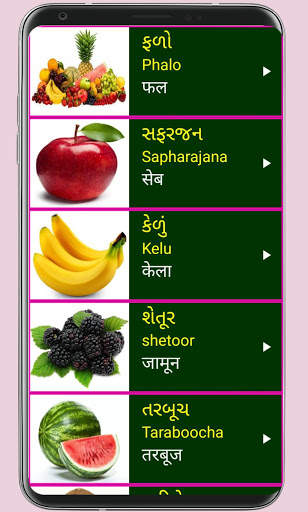Learn Gujarati From Hindi screenshot 7