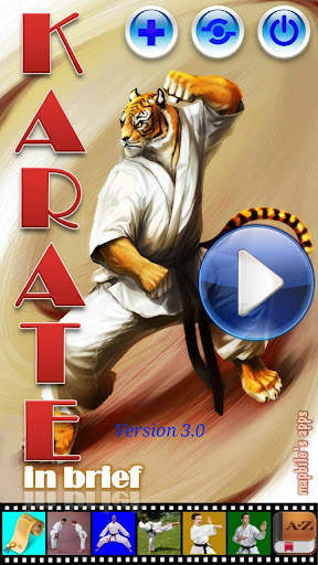 Karate in brief screenshot 1