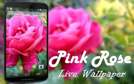 Pink Rose Video Live Wallpaper screenshot 1