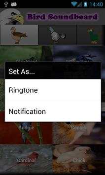 Bird Ringtones screenshot 2