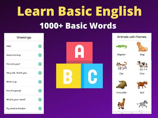 Basic English Learning - English Flashcards screenshot 2