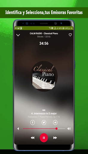 Instrumental music screenshot 4