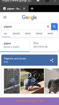 Pidgeot Web Browser - Featured and Fast screenshot 5