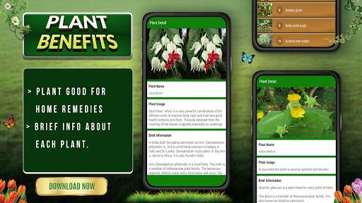 Medicinal Plants and their Benefits screenshot 3