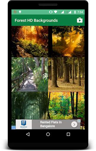 Forest HD Backgrounds screenshot 2